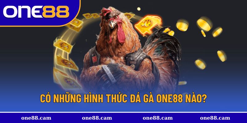 Các hình thức được hội viên yêu thích