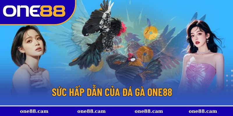 Giới thiệu nhanh về hình thức đá gà One88 kịch tính