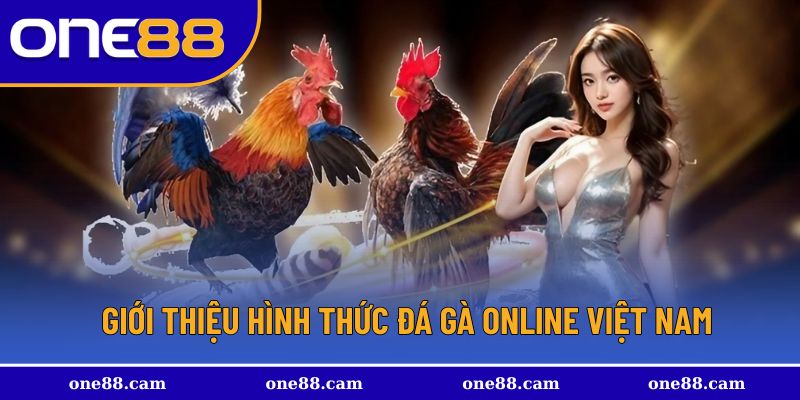 Giới thiệu về đá gà online Việt nam cơ bản, chi tiết