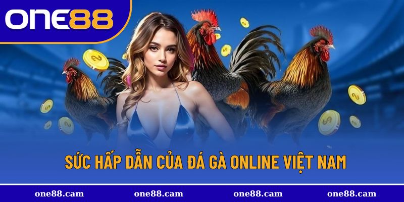 sự hấp dẫn và được ưa chuộng 