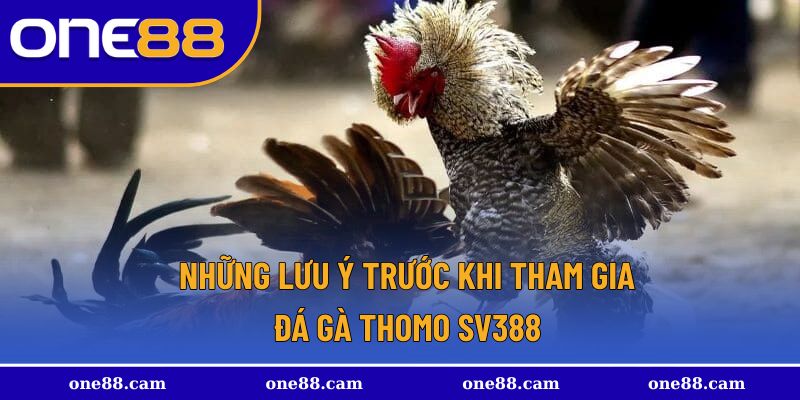 Những lưu cần tránh trước khi tham gia