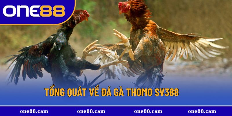  Khái niệm về game đá gà