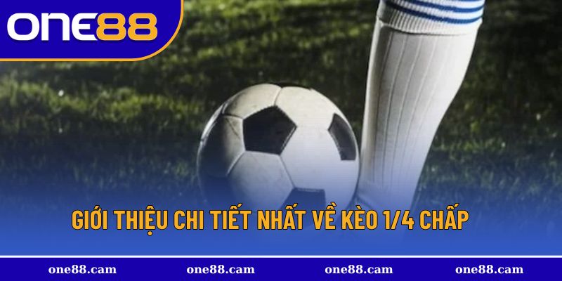 Những chi tiết dễ hiểu cho hội viên dễ hiểu