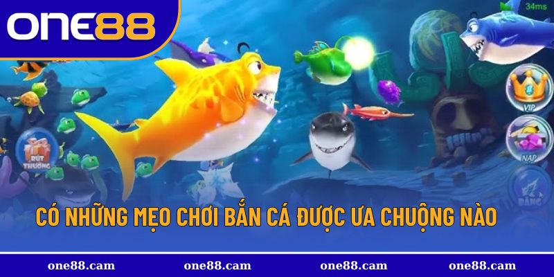 Những mẹo được đặc biệt yêu thích